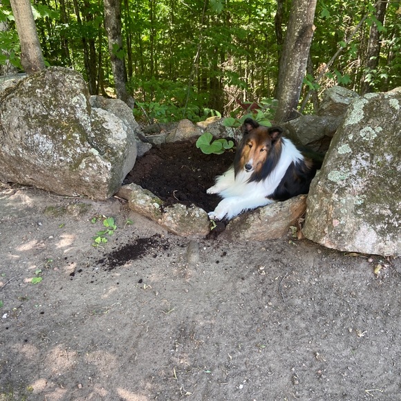 Meet your Posher, Eric - Picture 1 of 1